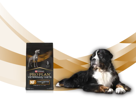 Purina Pro Plan Dog Veterinary Diets | Purina Singapore